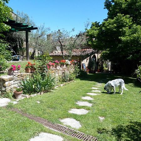 Vila Casa Mezzuola Agriturismo Greve in Chianti Exteriér fotografie