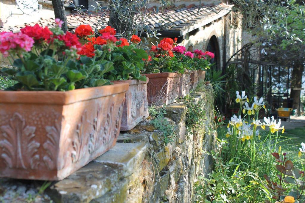 Vila Casa Mezzuola Agriturismo Greve in Chianti Exteriér fotografie