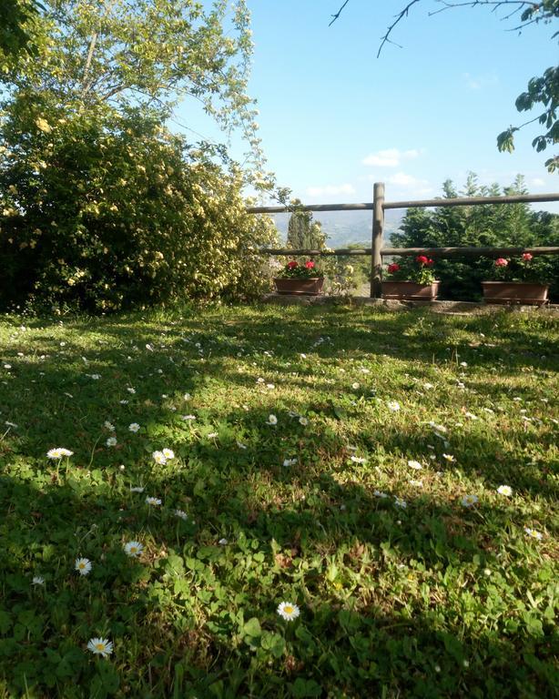 Vila Casa Mezzuola Agriturismo Greve in Chianti Exteriér fotografie