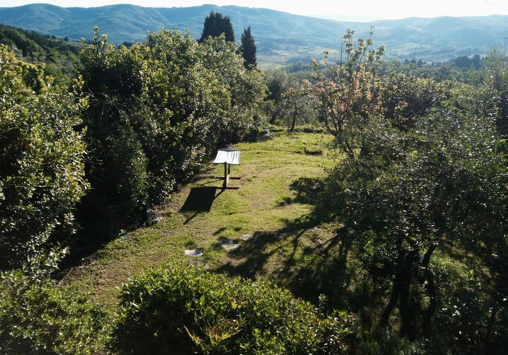 Vila Casa Mezzuola Agriturismo Greve in Chianti Exteriér fotografie