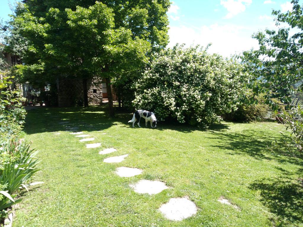 Vila Casa Mezzuola Agriturismo Greve in Chianti Exteriér fotografie