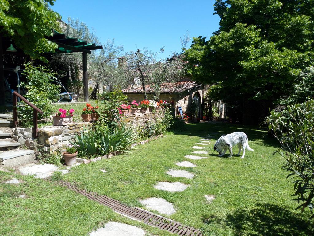 Vila Casa Mezzuola Agriturismo Greve in Chianti Exteriér fotografie